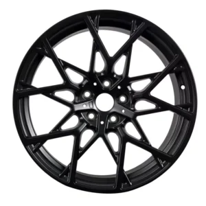 Custom Forged Chrome Rims 1